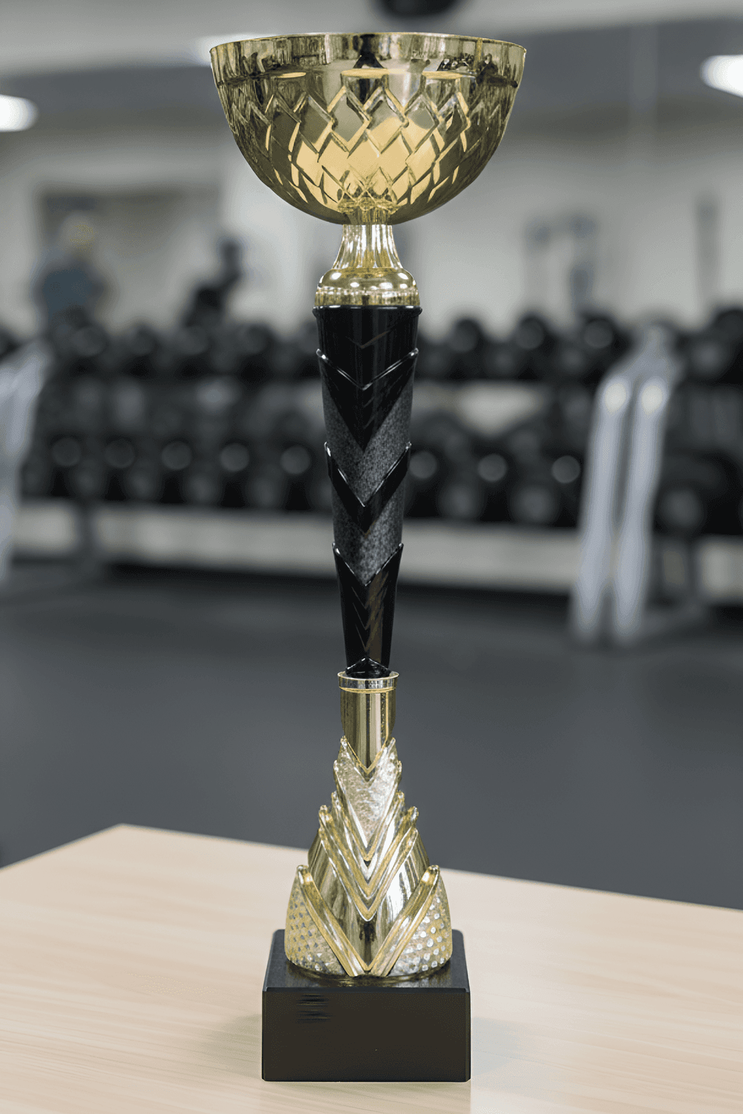 Puchar - CUP461