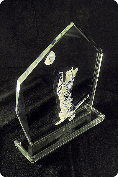 Trofeo in vetro -  GLA0010