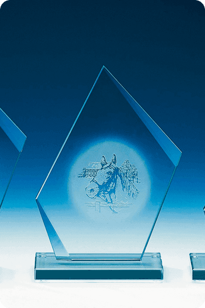 Trofeo in vetro -  GLA0216